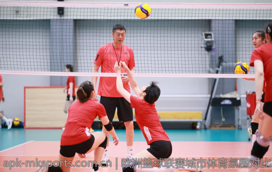 欧洲篮球联赛城市体育氛围对比